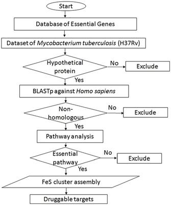 Genome mining of Mycobacterium tuberculosis: targeting SufD as a novel drug candidate through in silico characterization and inhibitor screening